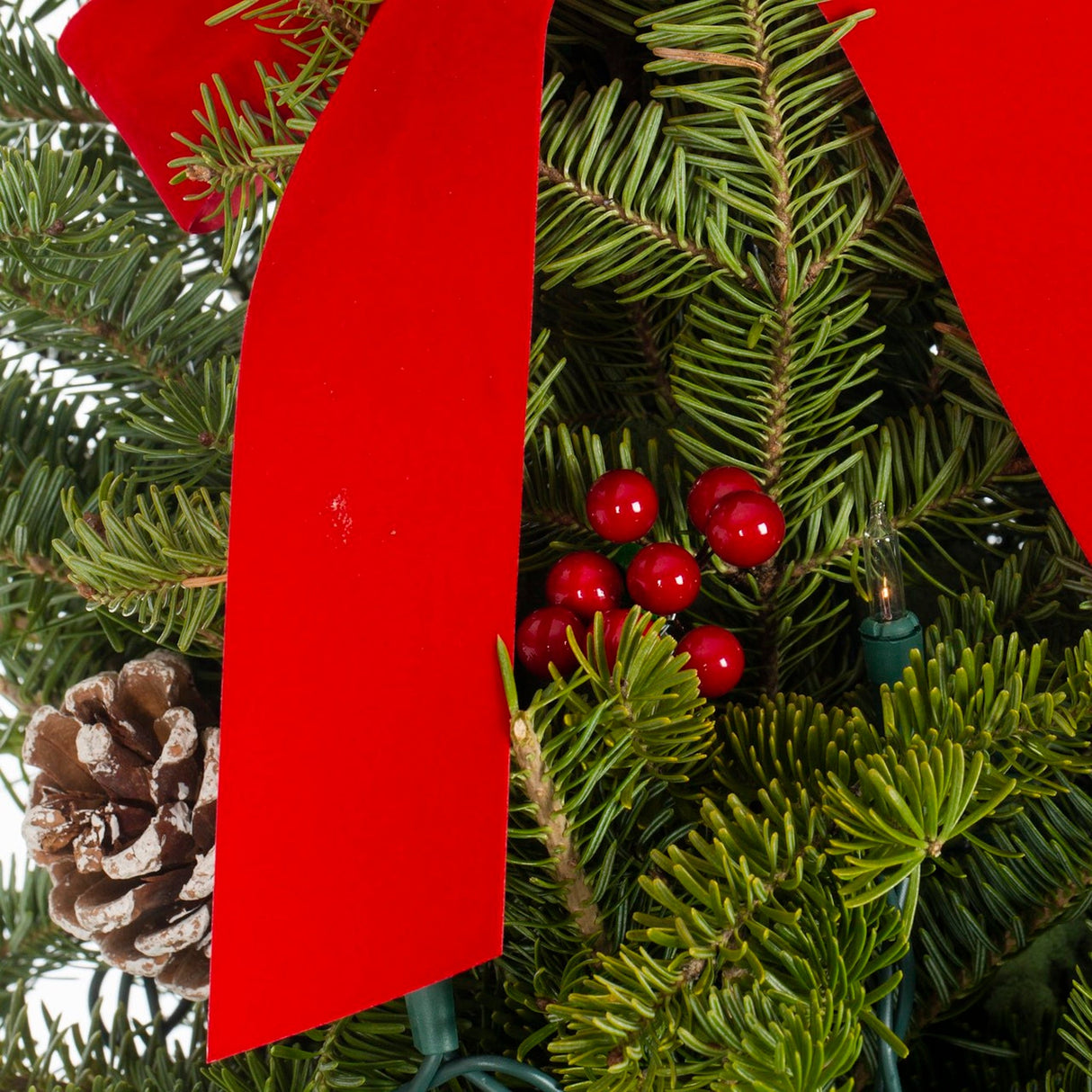 Live Cut Pre-Lit Tabletop Christmas Tree (28-inch) - NationwidePlants.com