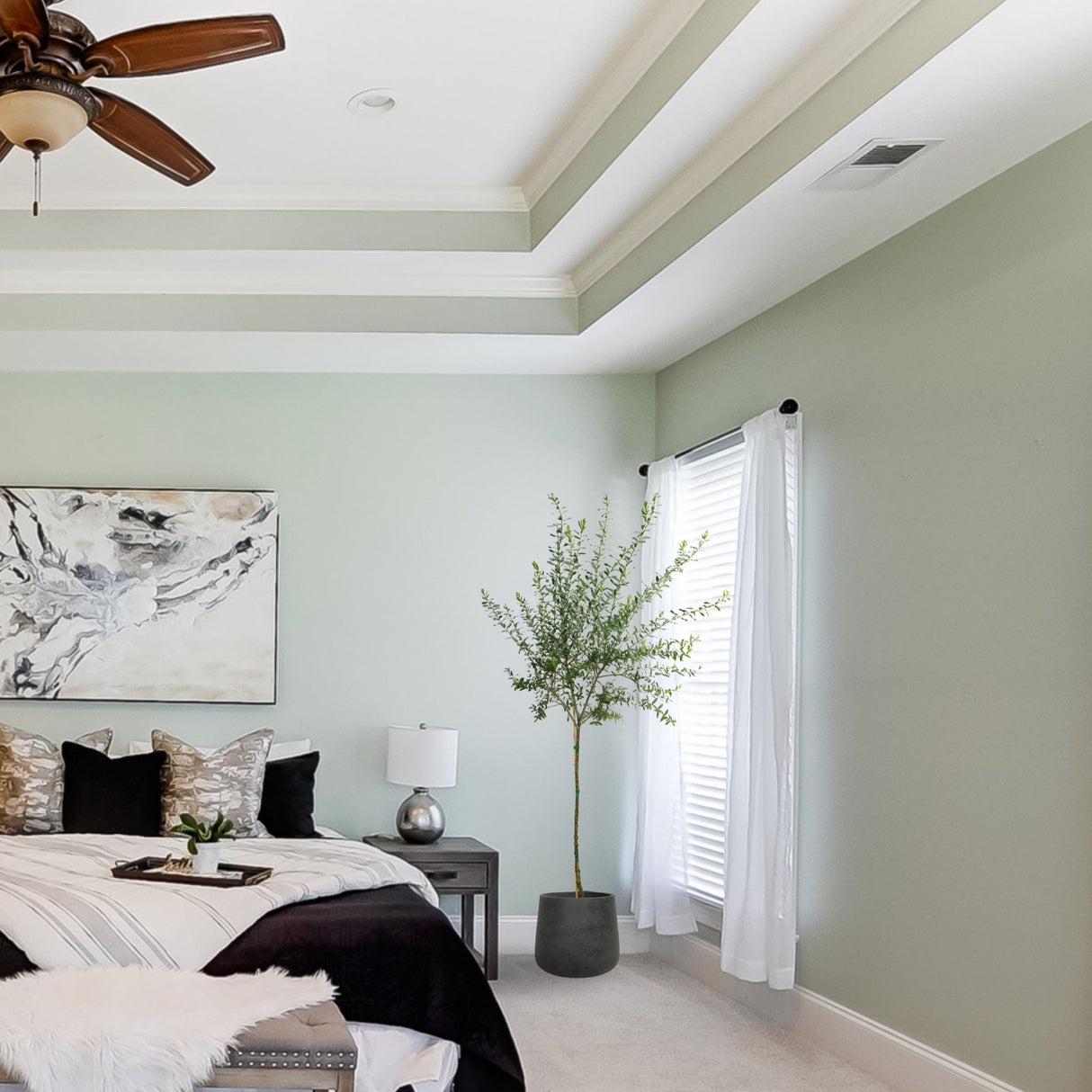 Live arbequina olive tree home decor in the corner of a well decorated bedroom.