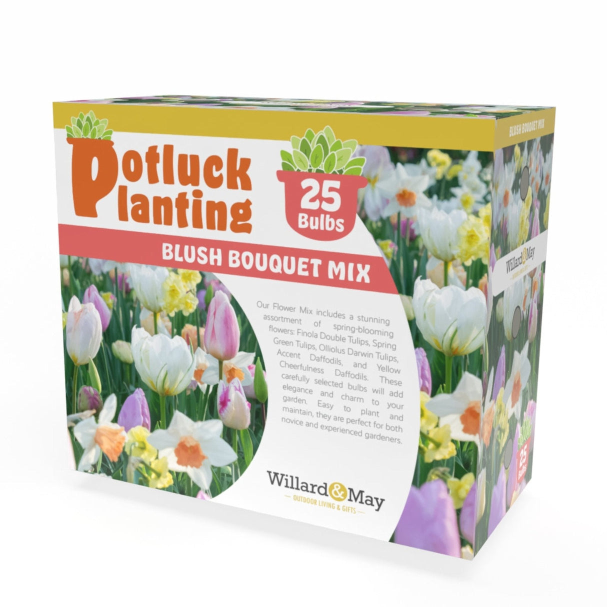 Potluck Planting Blush Bouquet Mix - NationwidePlants.com