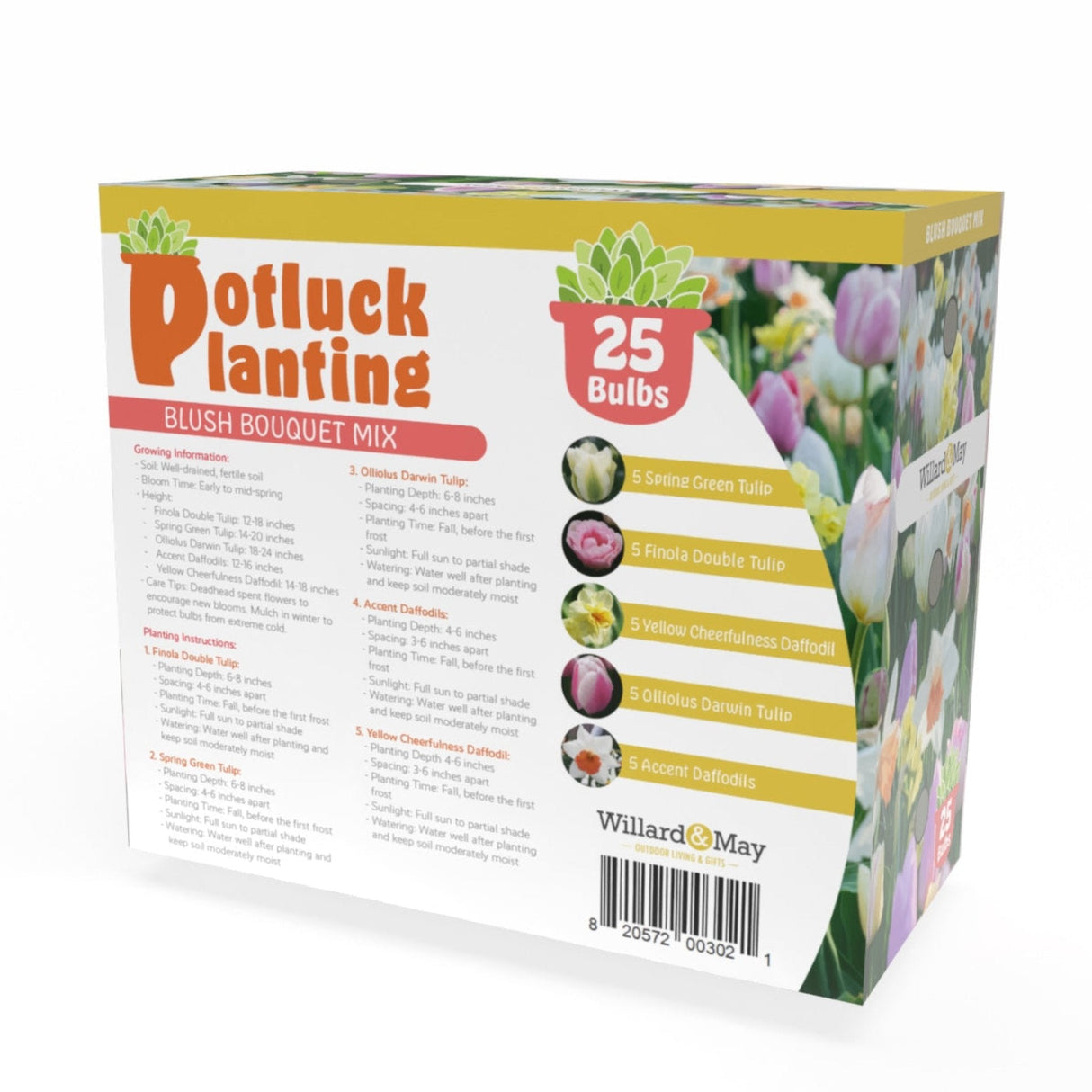 Potluck Planting Blush Bouquet Mix - NationwidePlants.com