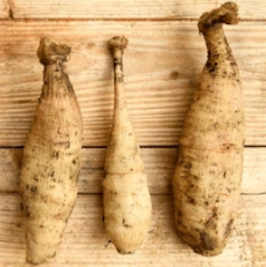 Three dahlia tubers with a rough, beige surface laid on a wooden background.