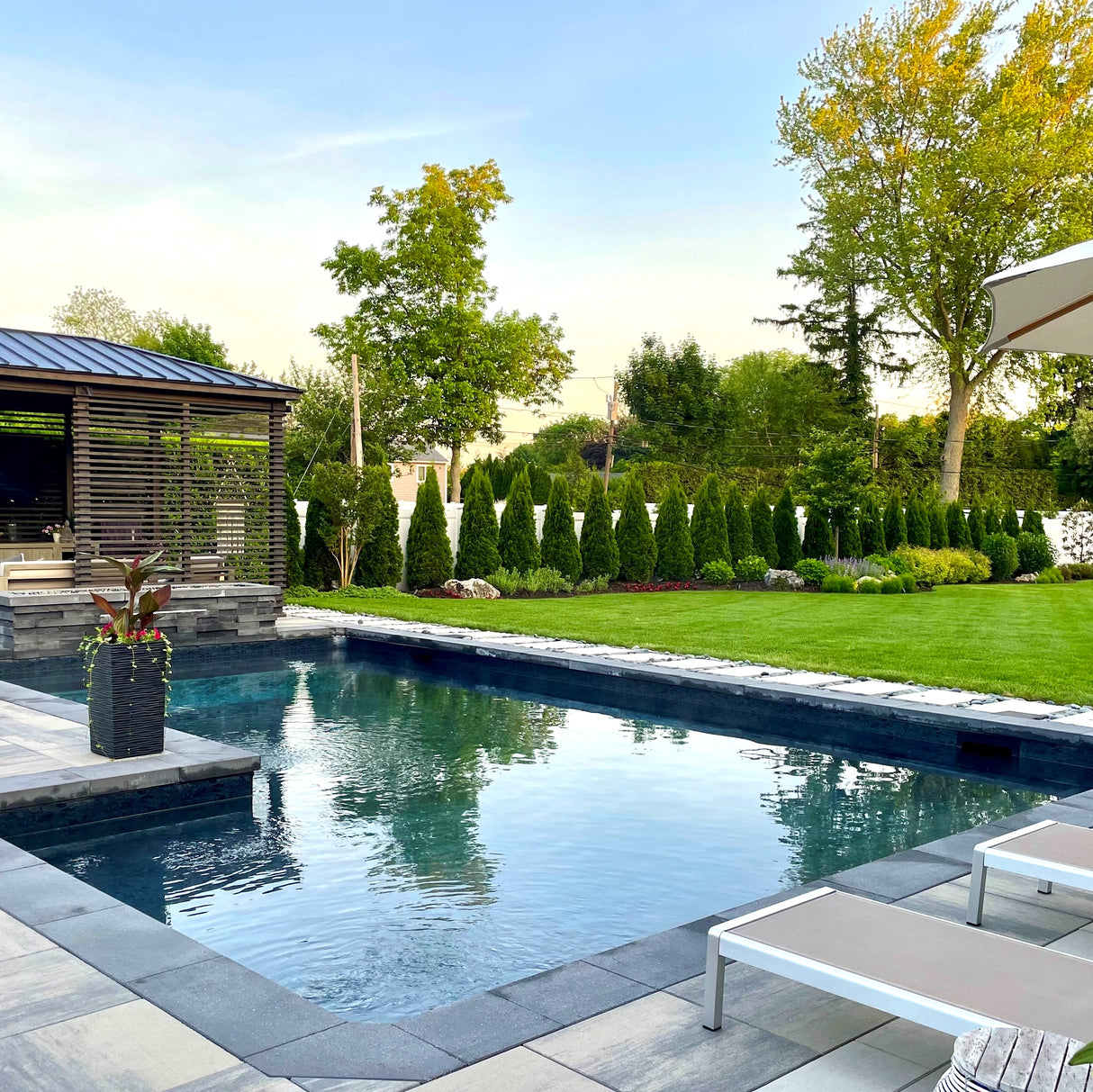 Emerald Green Arborvitae lining a backyard pool area with a well-manicured lawn.