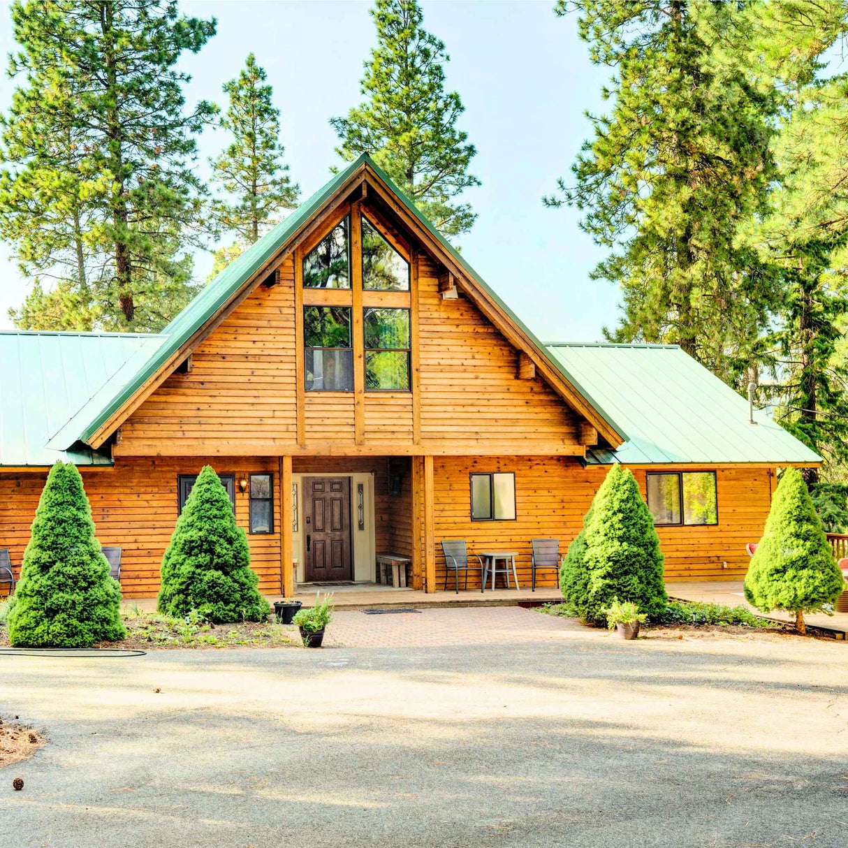 Wooden cabin with a green metal roof, surrounded by tall pine trees. In the foreground are neatly trimmed conical evergreen shrubs, Dwarf Alberta Spruce, planted symmetrically in the garden beds along the entrance.