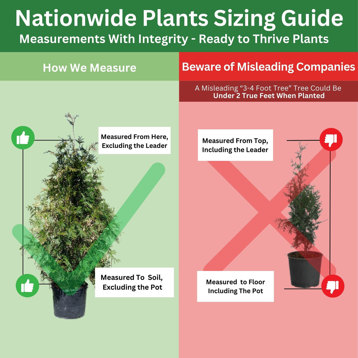 Nationwide Plants sizing comparison showing differences between Nationwide Plants measurement structure and some misleading ways other companies might measure height.