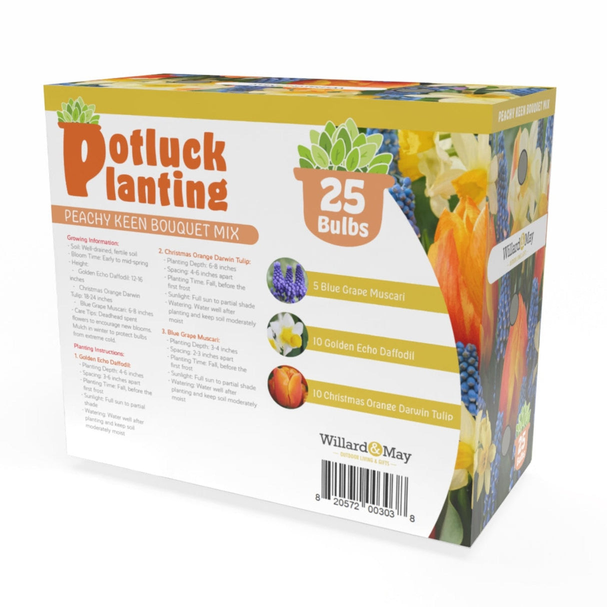 Potluck Planting Peachy Keen Bouquet Mix - NationwidePlants.com