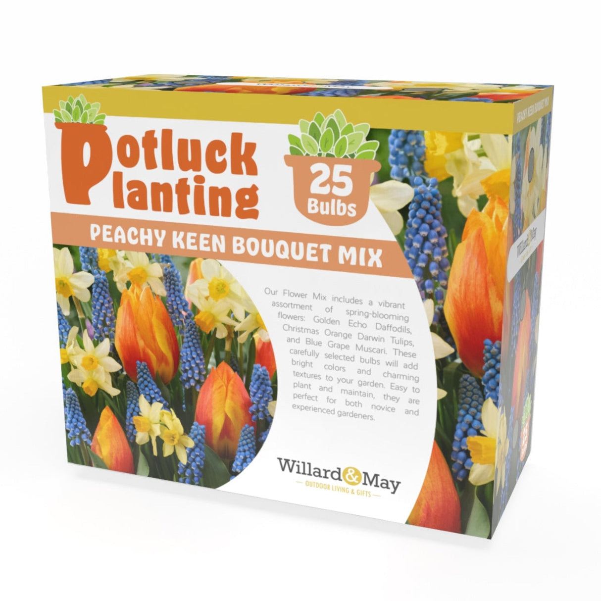 Potluck Planting Peachy Keen Bouquet Mix - NationwidePlants.com