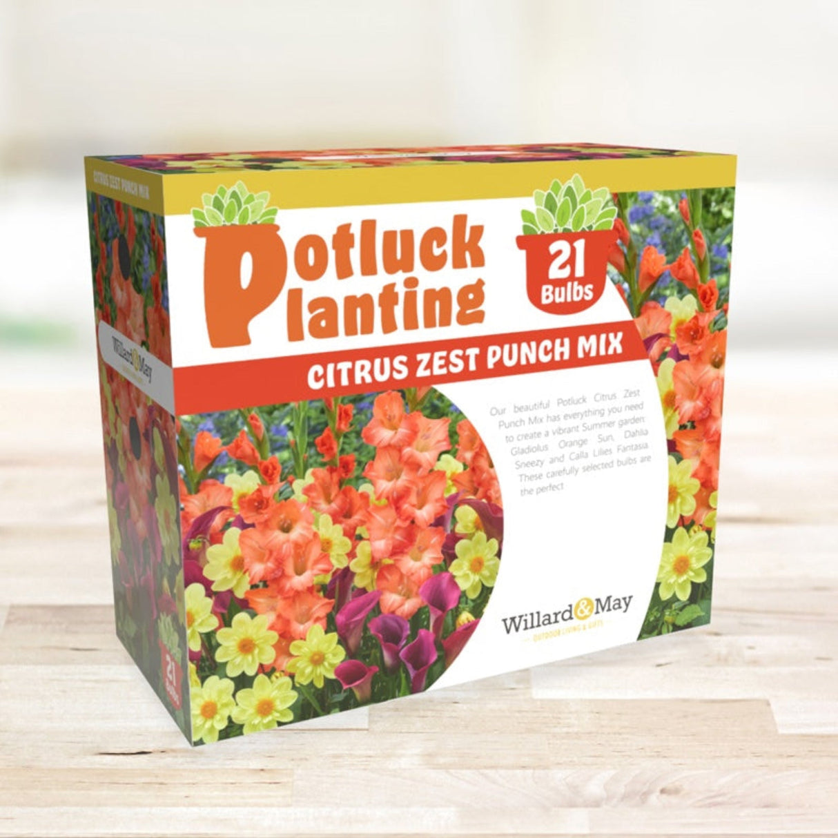 A box of "Potluck Planting Citrus Zest Punch Mix" flower bulbs, featuring an image of vibrant orange, yellow, and purple flowers on the packaging.