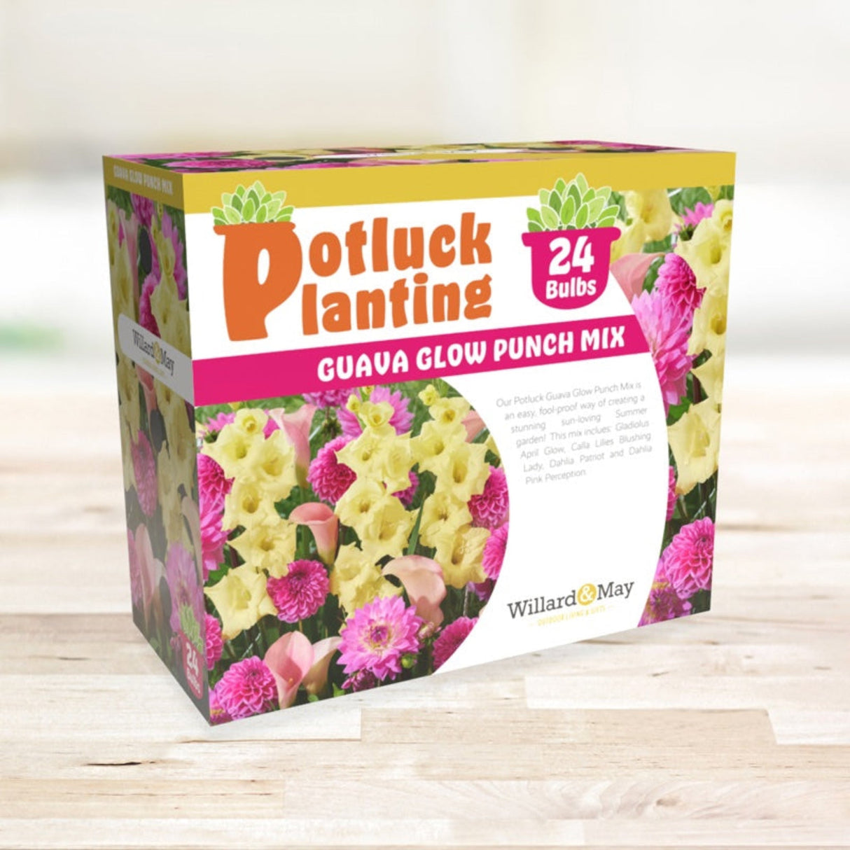 Potluck Planting Guava Glow Punch Mix Box with a picture of the flowers and information about the mix, including the 24 bulb count, on a wood floor with blurred background.