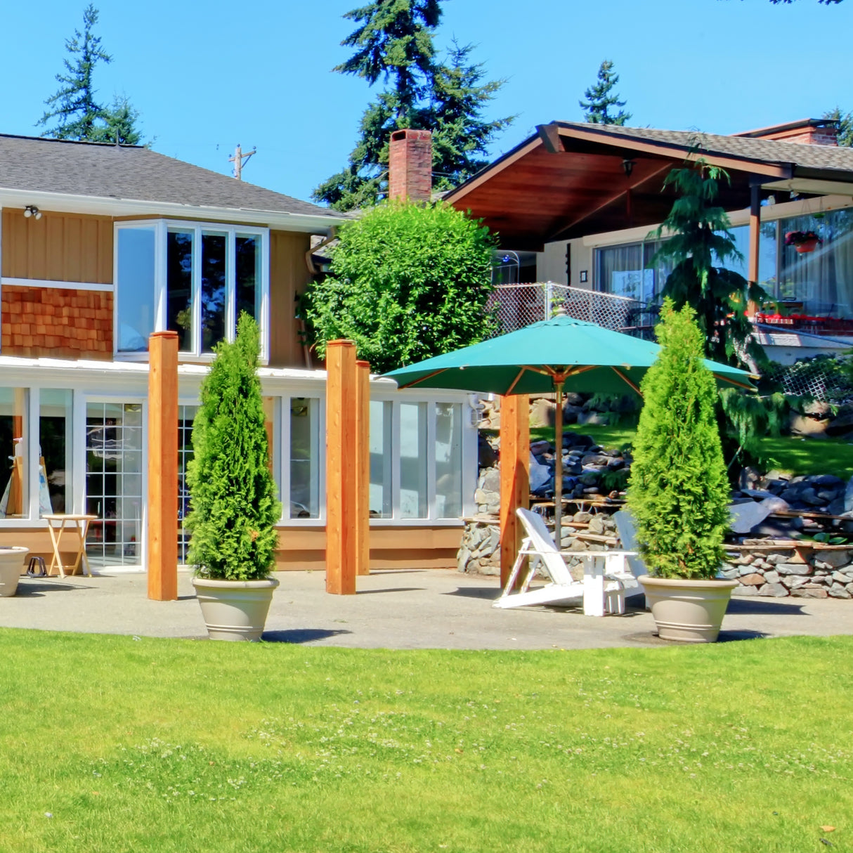 Potted Emerald Green Arborvitae trees placed on a lawn near a modern outdoor patio.