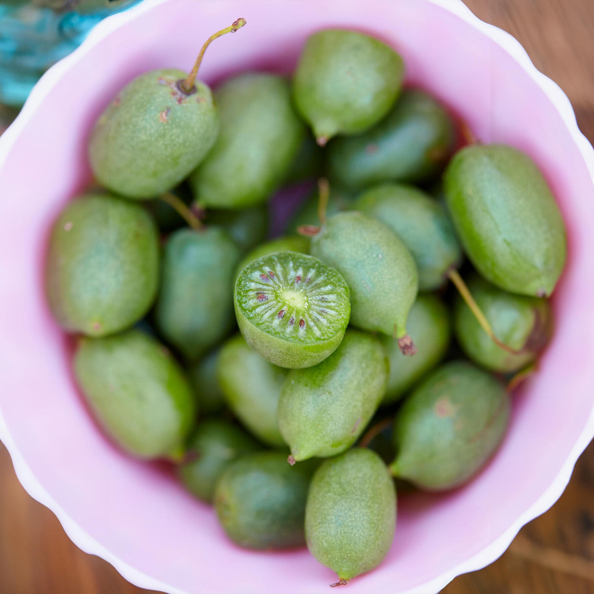 Bowl of Prolific Kiwi Fruit in a pink bowl. One fruit has been sliced in half to display the inside of the kiwi.