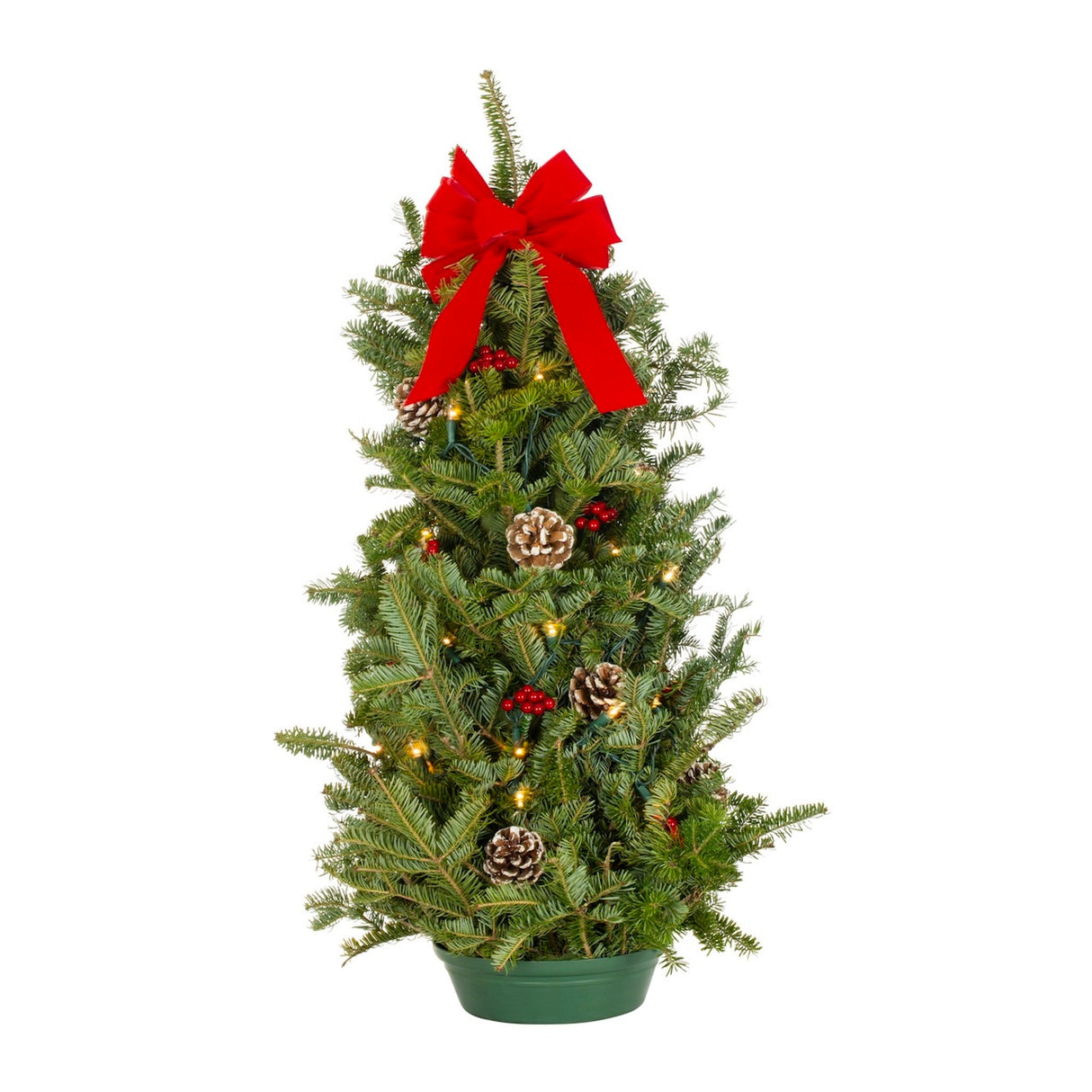 Live Cut Pre-Lit Tabletop Christmas Tree (28-inch) - NationwidePlants.com