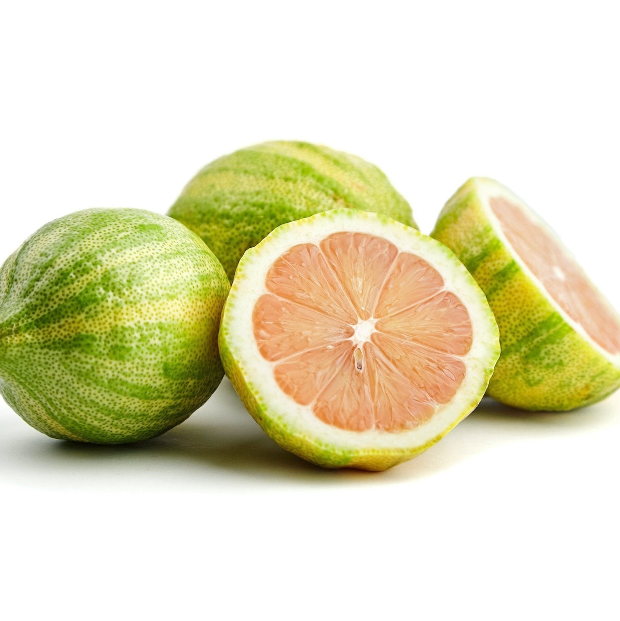 Pink Variegated Eureka Lemon Bush - NationwidePlants.com