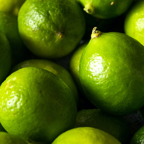 Key Lime Bush - Thornless