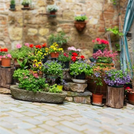 several types of potted plants sitting on a stone patio with a stone wall background.