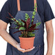 calathea rattlesnake houseplant in nursery planter being held by a person in a denim apron