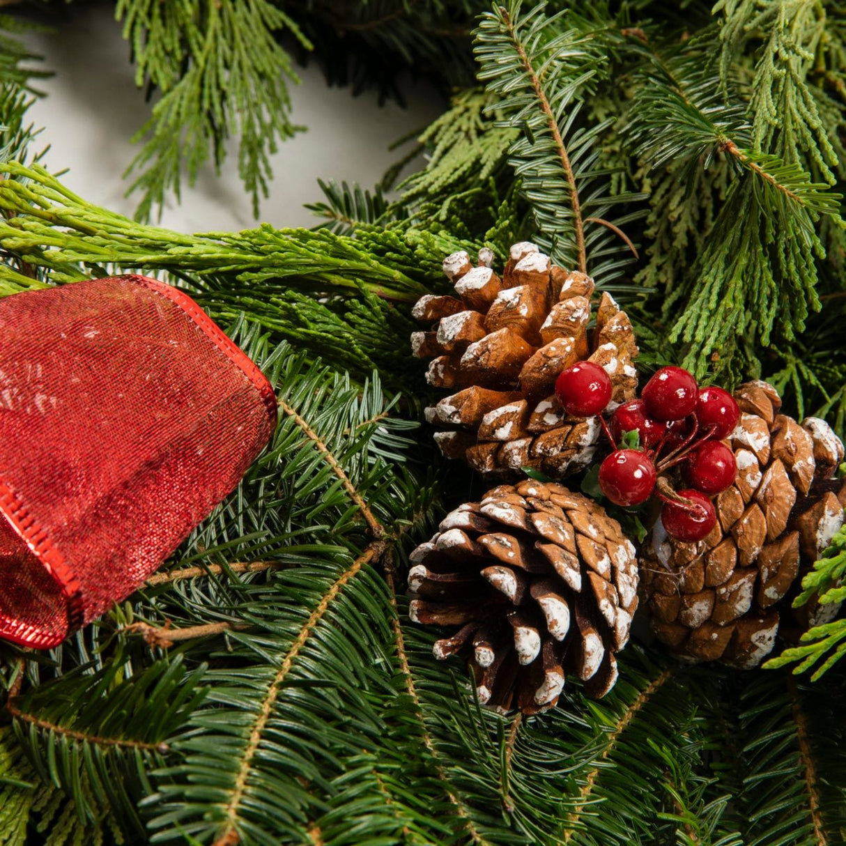 22" Wreath With Pinecones & Berries - NationwidePlants.com  