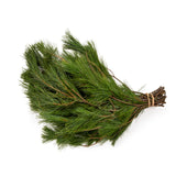 Holiday Bough Bundles - NationwidePlants.com  