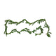 White pine garland, not decorated, simply spread out over a white backdrop showcasing its green needles and non-uniform natural appearance.