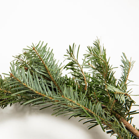 25 Ft. Fraser Fir Garland - NationwidePlants.com  