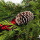 Holiday Bough Bundles - NationwidePlants.com  