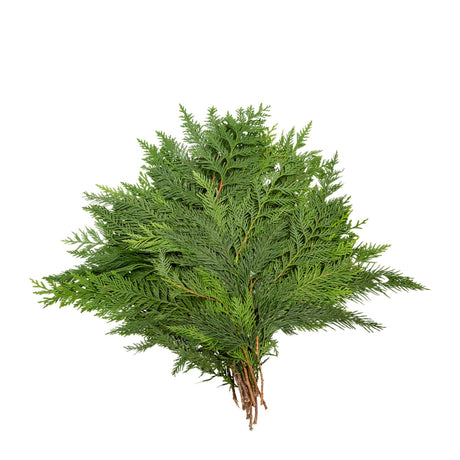 Holiday Bough Bundles - NationwidePlants.com  