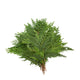 Holiday Bough Bundles - NationwidePlants.com  