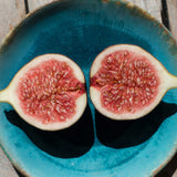 A close-up of a halved Brown Turkey fig on a blue plate, revealing its rich, pinkish-red interior filled with tiny seeds and intricate patterns. The fig’s flesh is moist and inviting, highlighting the sweet and juicy texture characteristic of this variety.