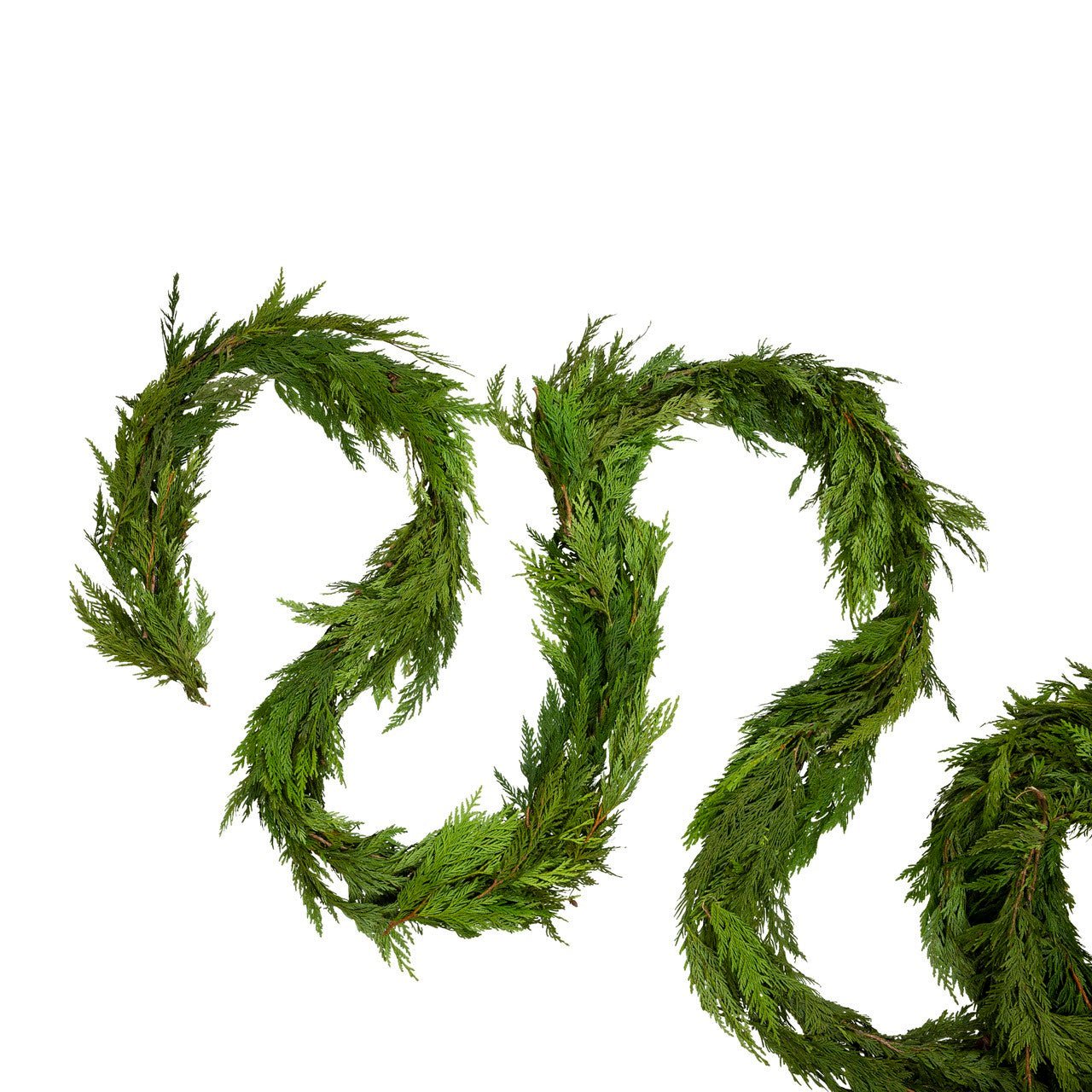 Nationwide Plants Cedar Garland