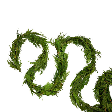 Bright green cedar garland showing the natural variations of a fresh cut garland against a plain white background