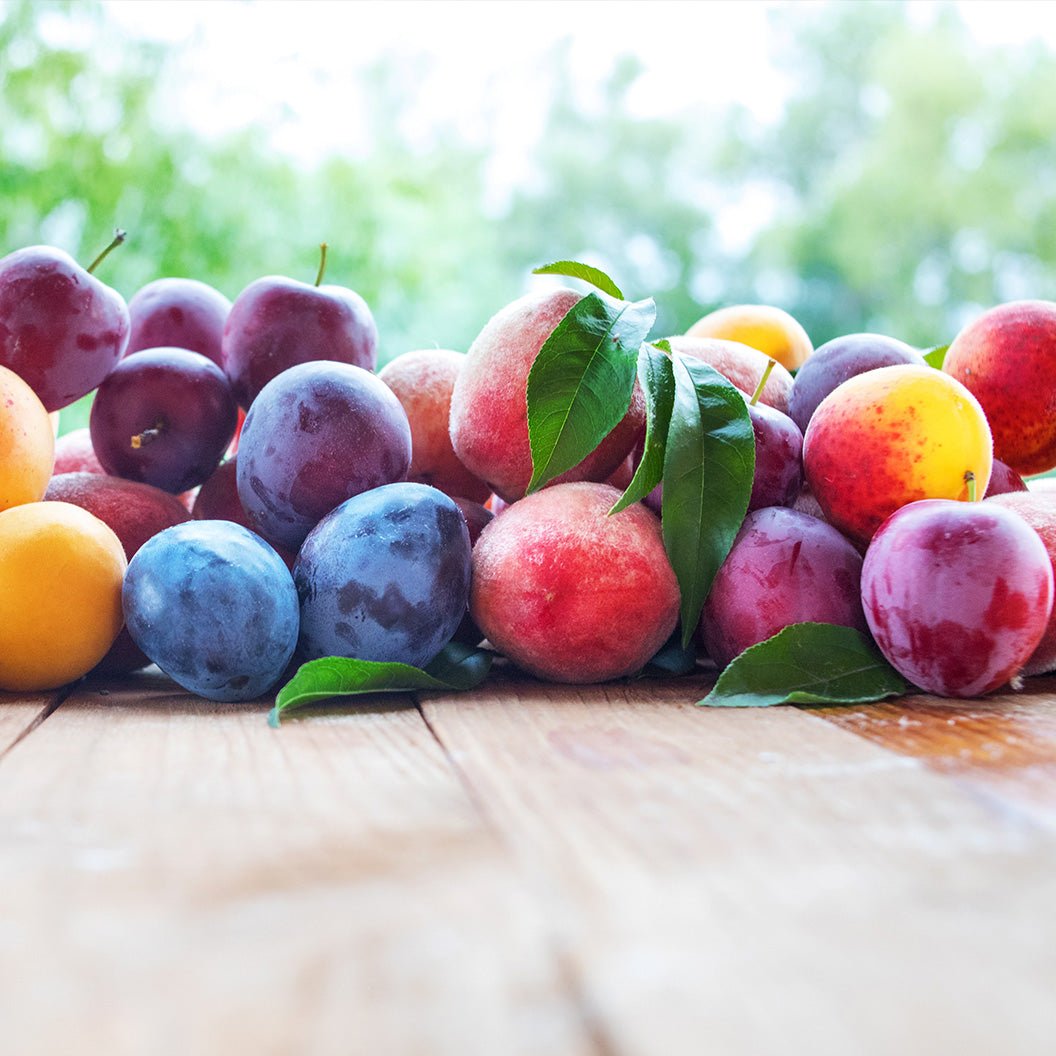 Fruit Cocktail Tree – Multiple Fruits, Space-Saving, Easy to Grow