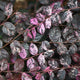 Jazz Hands Variegated® Loropetalum