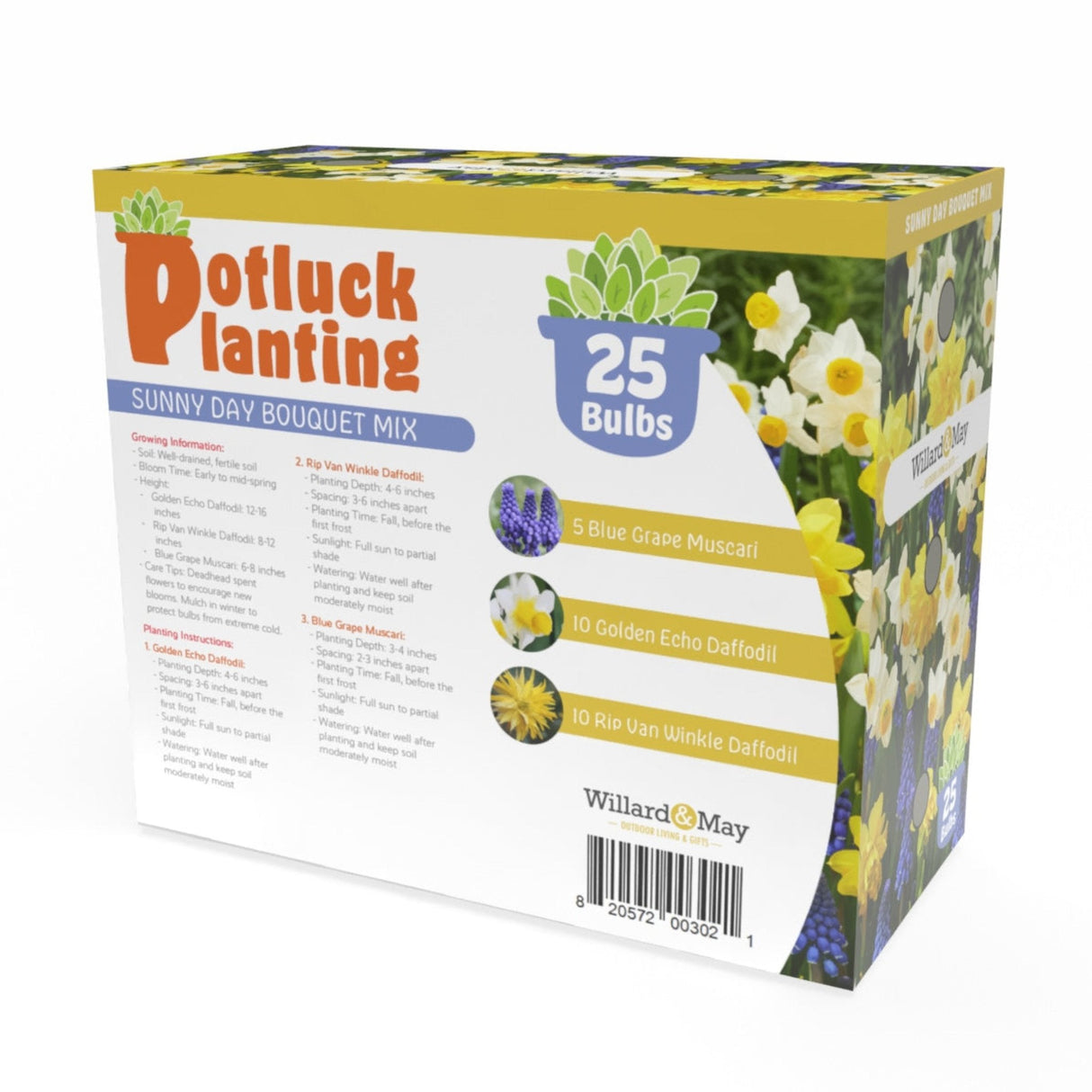 Potluck Planting Sunny Day Bouquet Mix - NationwidePlants.com  