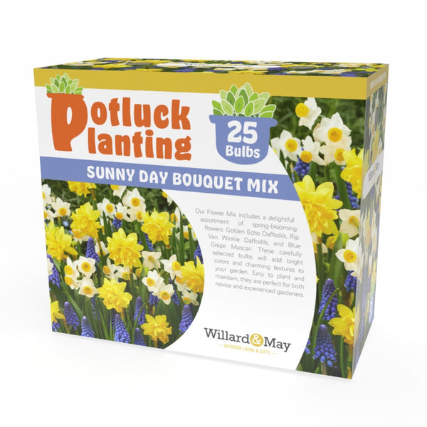 Potluck Planting Sunny Day Bouquet Mix – Cheerful Spring Flower Bulbs