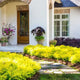 Sunshine Ligustrum shrubs near the entrance of a house, complementing the home's exterior.