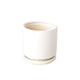 Drop-In Cylinder Planters for Houseplants