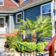 A small palm tree with fan-shaped green leaves in a landscaped front yard beside a blue house.