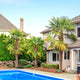 Windmill palm trees beside a house with a pool, surrounded by landscaping.