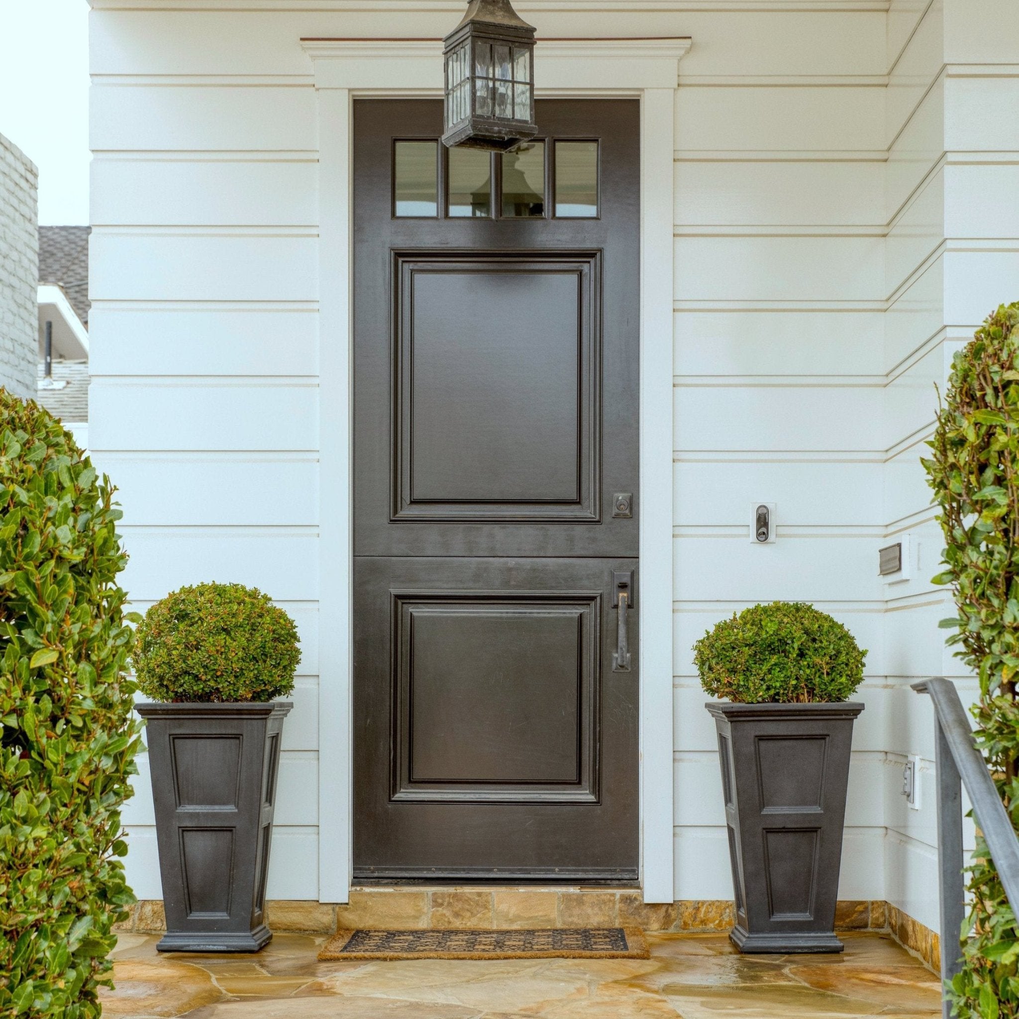 Green Mountain Topiary Boxwood Ball – Elegant Garden Accent