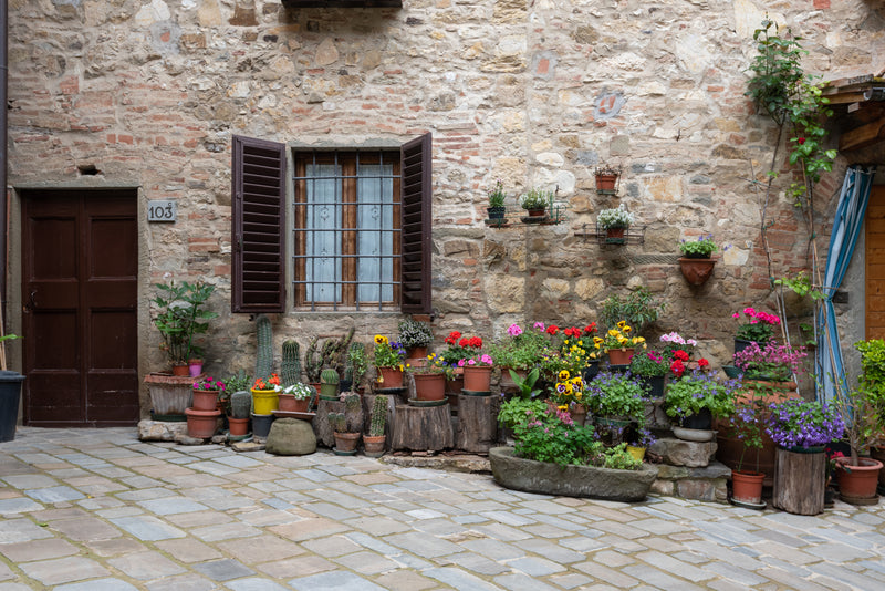 colourful-plants-and-cacti-line-the-front-of-a-house