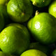 Key Lime Bush - Thornless