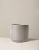 Large Mexia Planter - NationwidePlants.com  