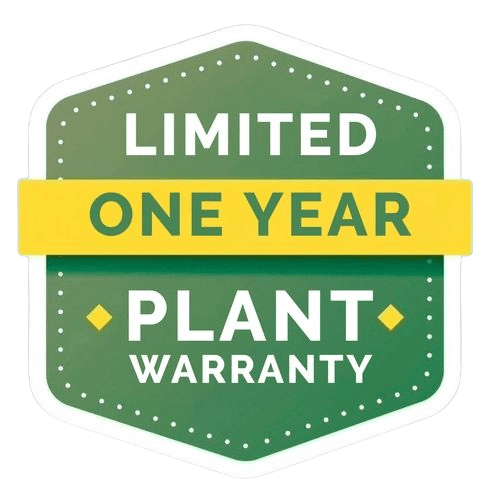 One Year Limited Warranty