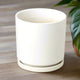 white cylinder planter with matte white finish on wooden table with nearby green foliage adding visual texture