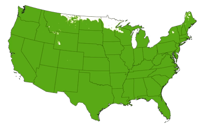 Growing Zones for the Parlor Palm Tree