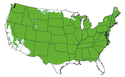 Growing Zones for the Pink Lemonade Blueberry