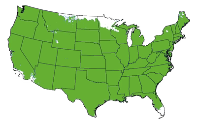 Growing Zones for the Tulip Poplar Trees