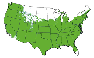 Growing Zones for the Kwanzan Flowering Cherry Tree