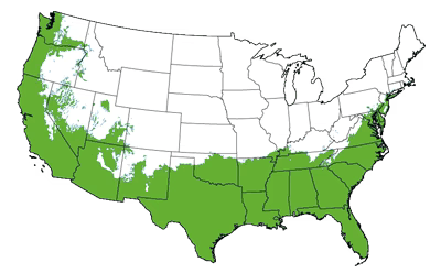 Growing Zones for the Southern Wax Myrtle Hedge