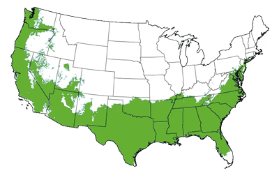 Growing Zones for the Catawba Crape Myrtle Tree