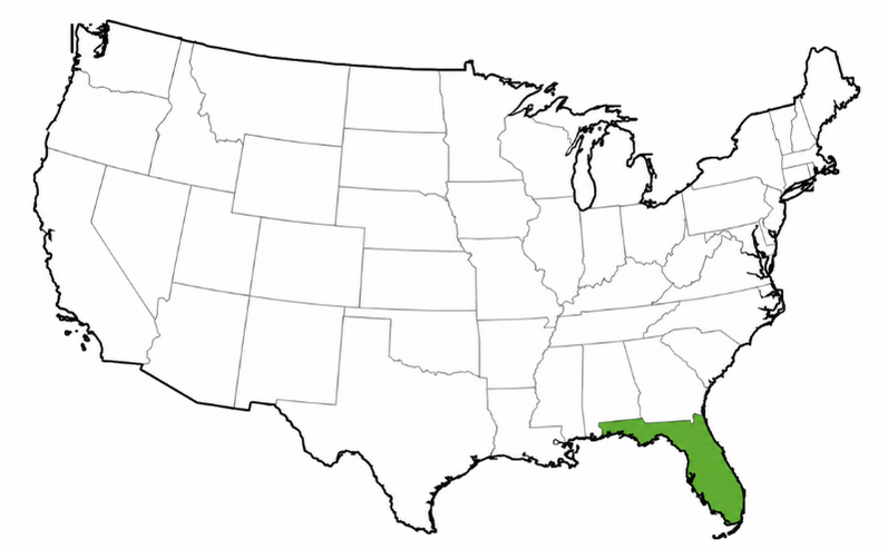 Growing Zones for the Key Lime Tree
